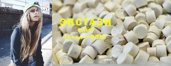 индика Козельск