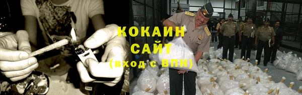стаф Кодинск
