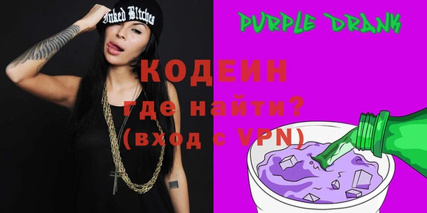 индика Козельск
