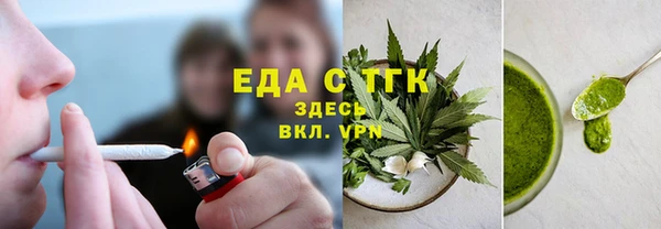 индика Козельск