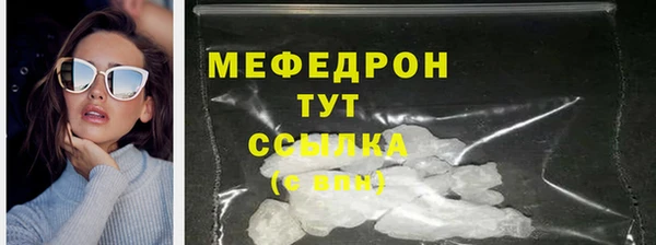 индика Козельск