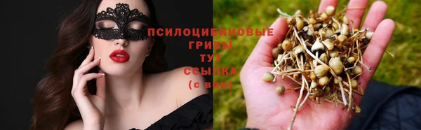 стаф Кодинск