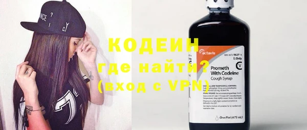 индика Козельск