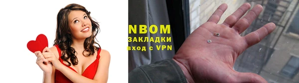 индика Козельск