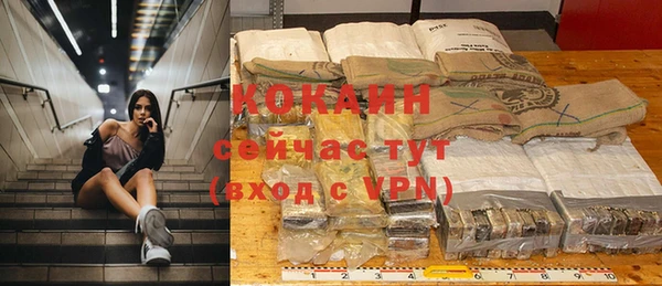 стаф Кодинск