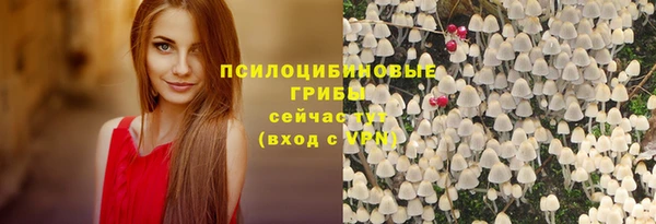 индика Козельск