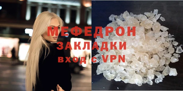 индика Козельск