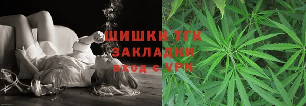 прущие грибы Киренск